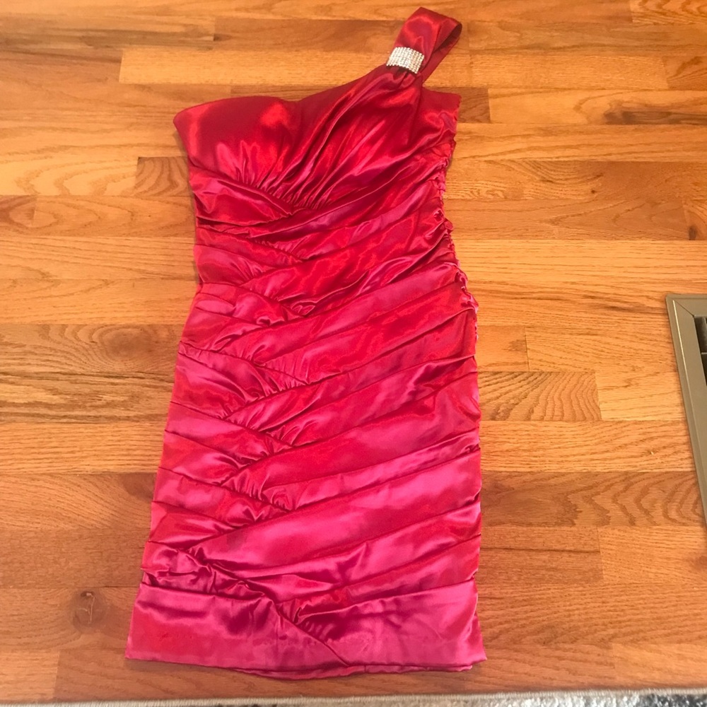 Bison Bisou  dress Size 4